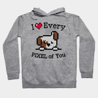 I love every Pixel of You Hoodie